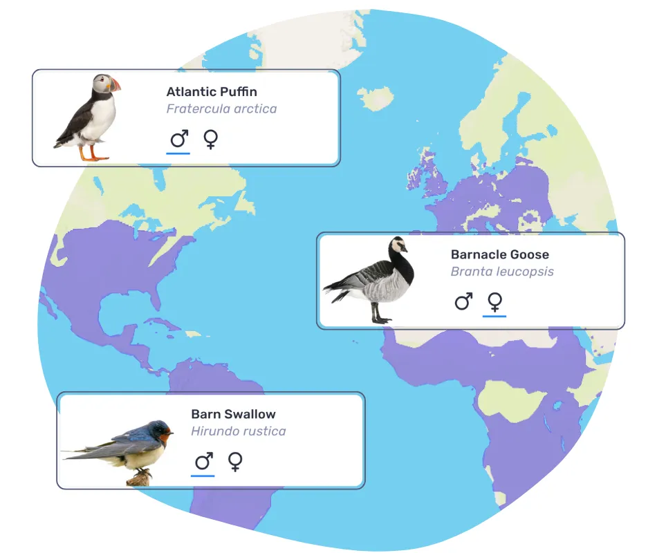 Birda App Features List | Birda