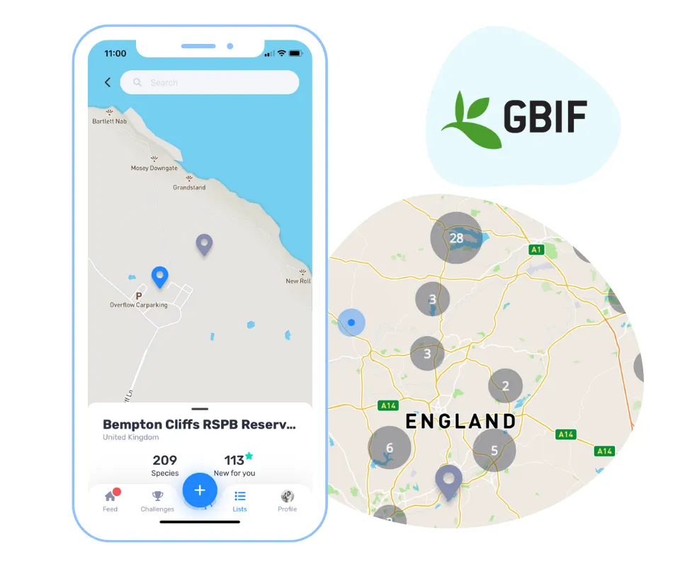 Find the Best Birding Locations | Birda