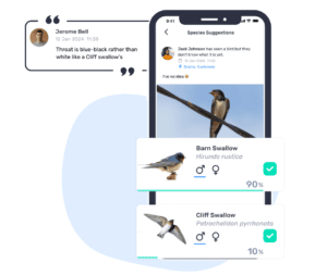 Bird Identification App - Identify Birds with AI or a Field Guide | Birda