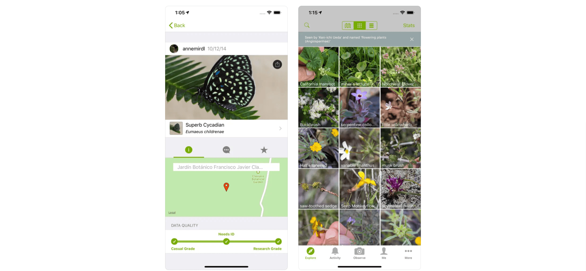 12 of the Best Birdwatching Apps in the USA Birda