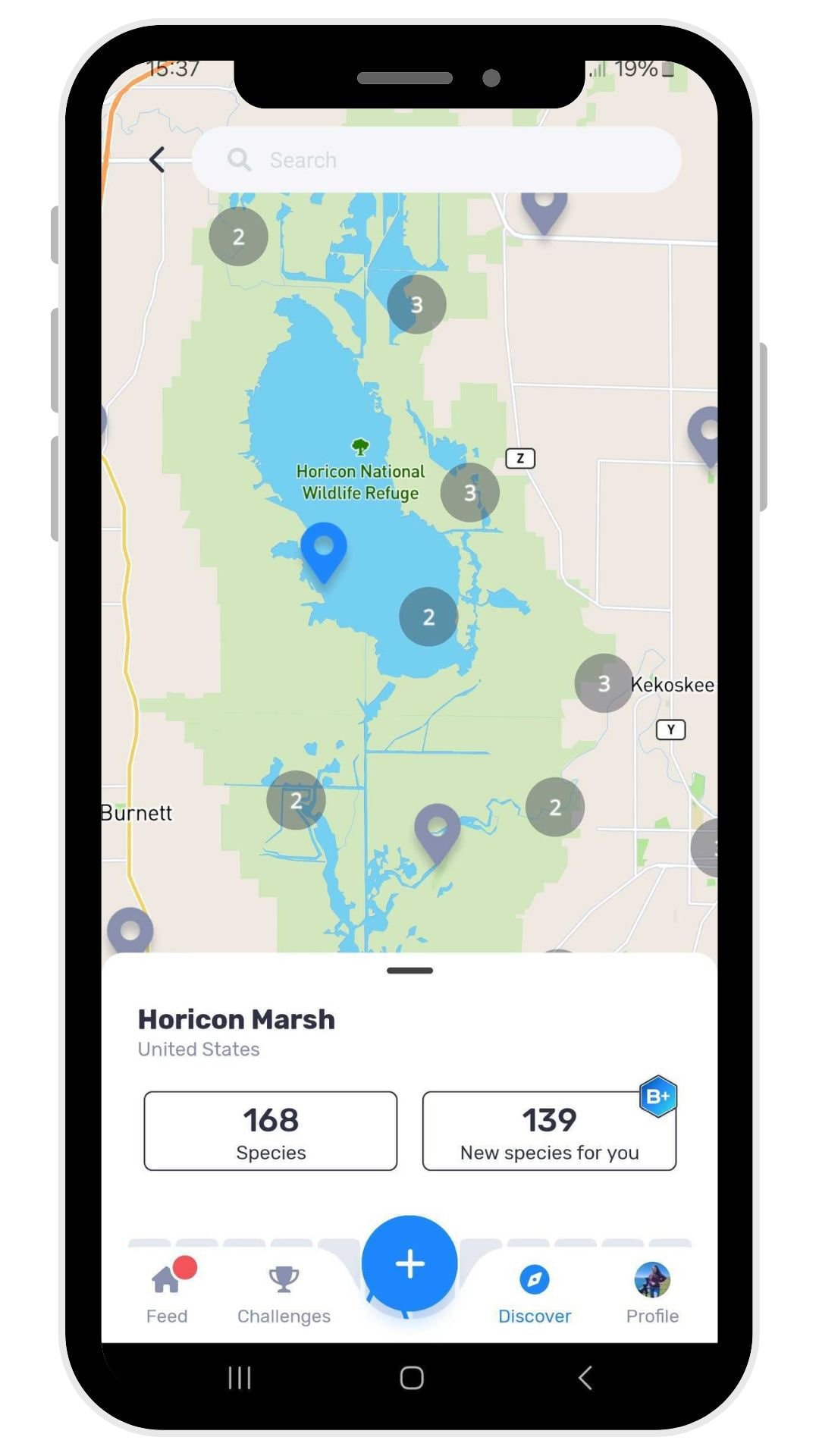 Bird Identification Wisconsin - Everything You Need to Know | Birda