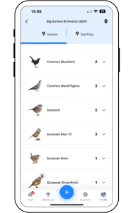 Big Garden Birdwatch 2026 | Birda