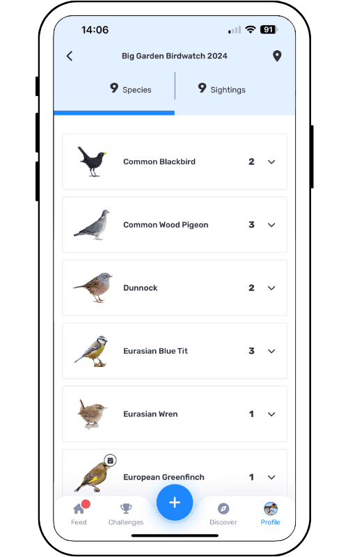 Bird watching app for identifying and tracking bird species.