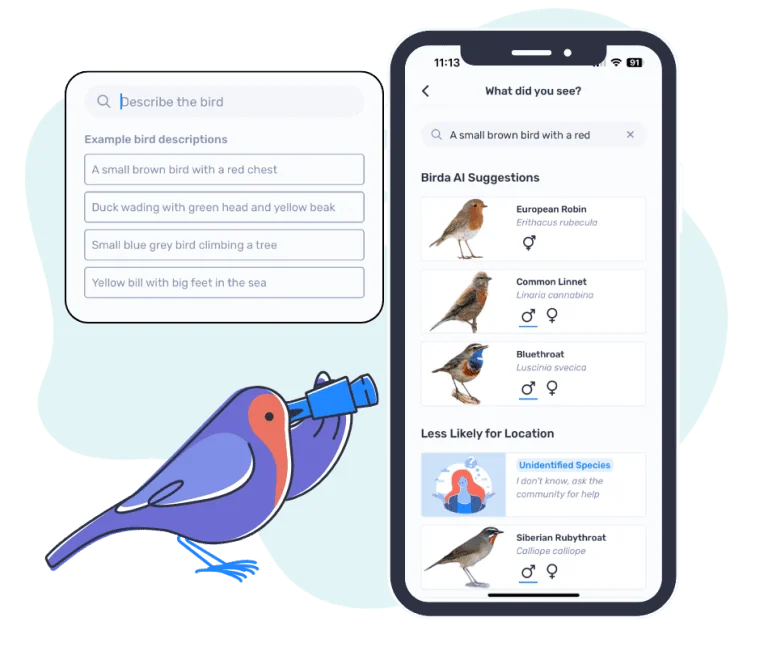 Birda's Text AI Powered Bird Identification Features